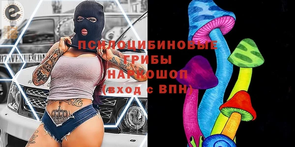 винт Бородино