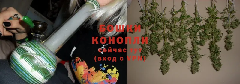 Шишки марихуана SATIVA & INDICA  Венёв 